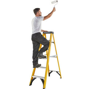Picture for category Ladders