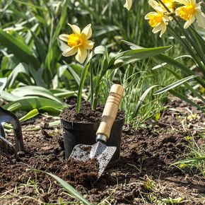 Picture for category Garden Maintenance