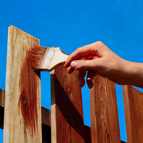 Picture for category Wood Treatment